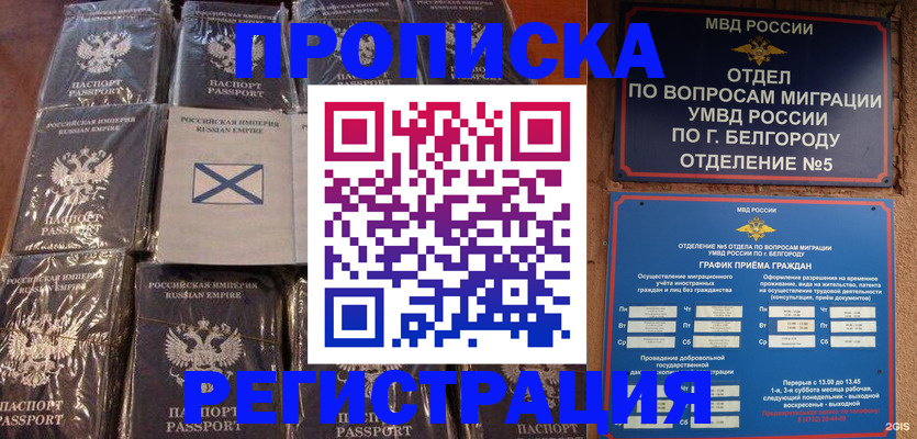 прописка гарантия в Нововоронеже